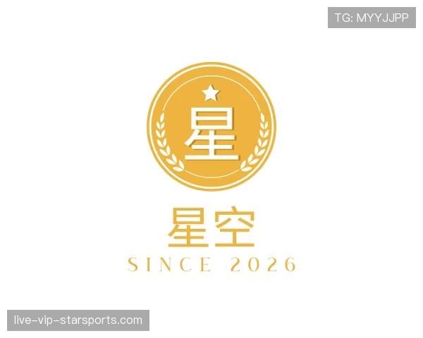 介绍星空世界杯